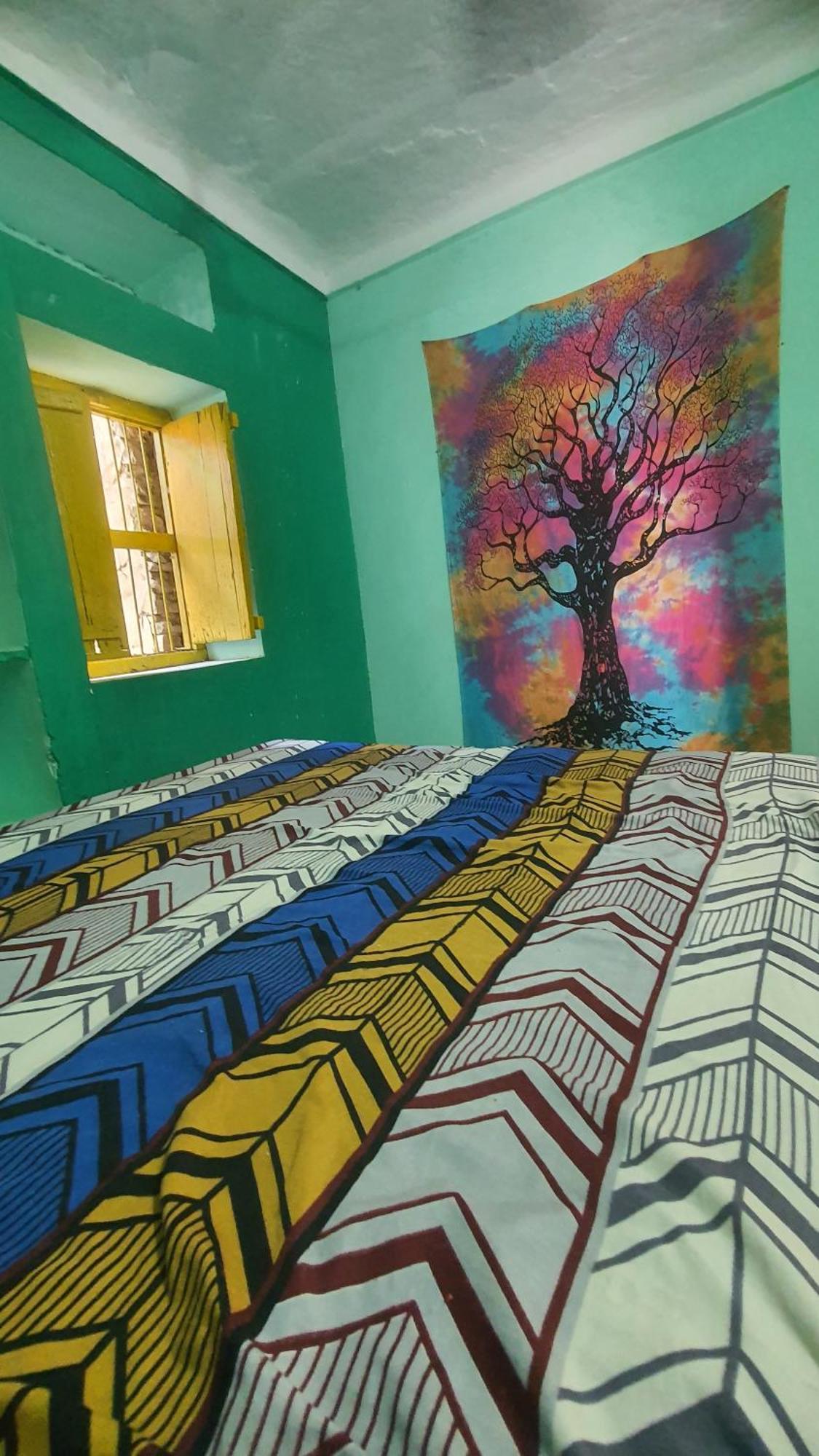 Anand Hostel Pushkar Exteriör bild